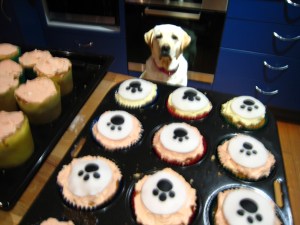 088 Baci helping out by giving moral support...