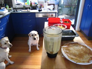 My little helpers giving moral support!