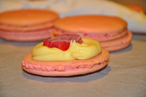 Assembly Assembling the macaron