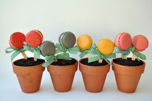 Flower Pot Macarons