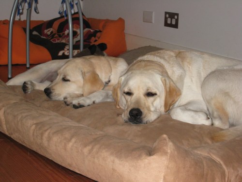 Really, we were sleeping at that time!