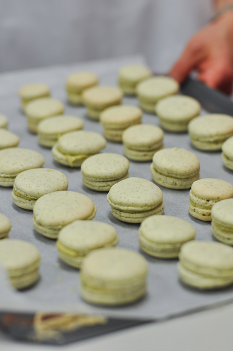 Pistachio Macarons at Essential Ingredients Sydney
