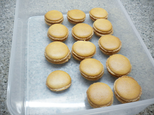 Salted Caramel Macarons by Mom