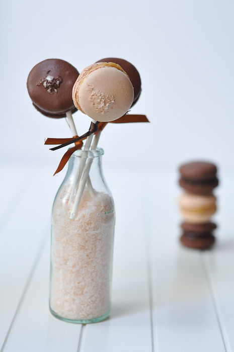 Macaron lollipops