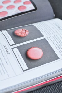 Donna Hay’s Strawberry & Macaron Trifle Plus My New Favourite Macaron