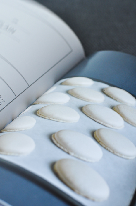 Secrets of macarons 6 Plain Macarons