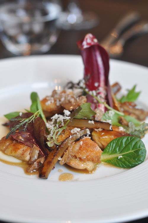 His Order - Salamugundy