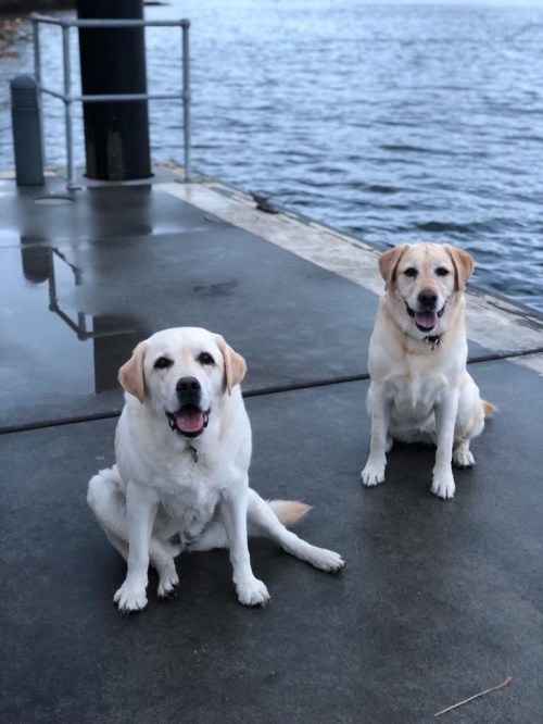 4f8f9728-3bc6-4208-963a-4e1b3c9ae105