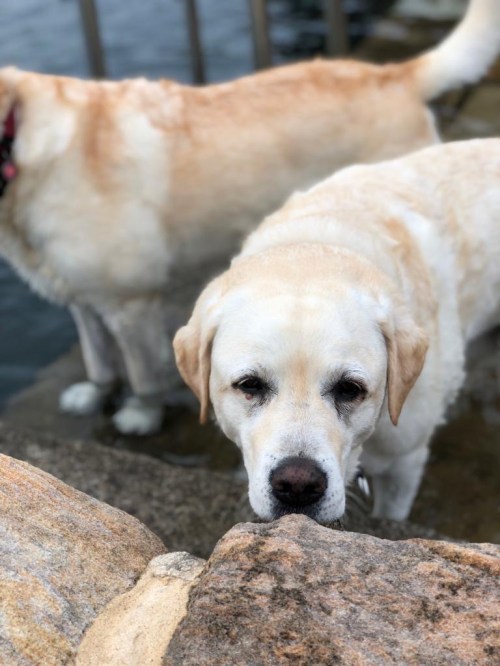 b2bd0c0b-6736-4d12-9712-c8625cefb48e